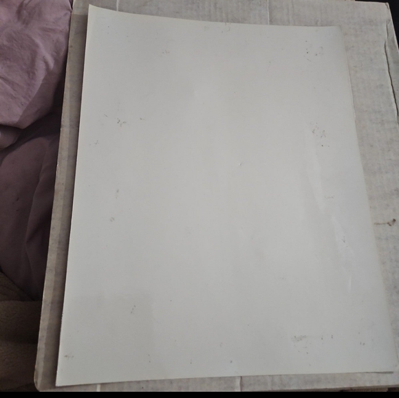 Museum Marked Laminated Renoir Girl Watering Can National Gallery Art Museum - Picture 11 of 12